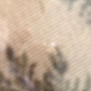 Meet your Posher, Ivana